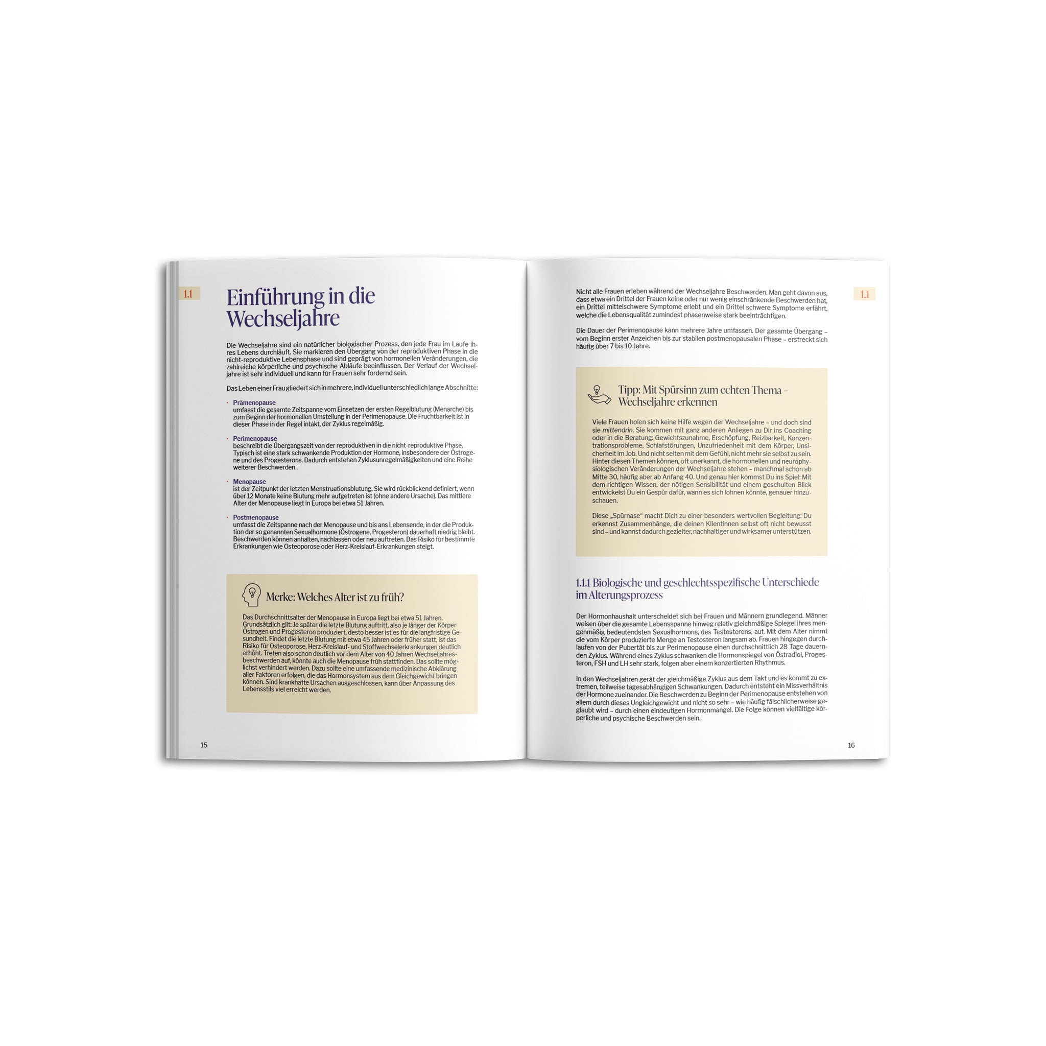 FEMNETIC Meno Expert Lehrgang